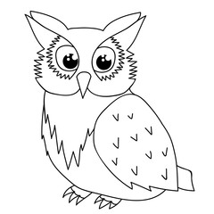  isolated owl character, book coloring