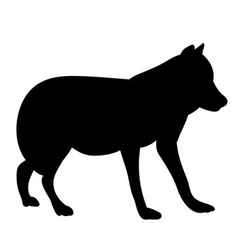 silhouette wolf on white background