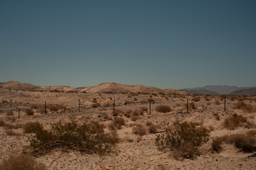 Fototapeta na wymiar Arizona Valley Natural Desert Landscape Phoenix, USA 