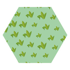 Leaves hexagon shape