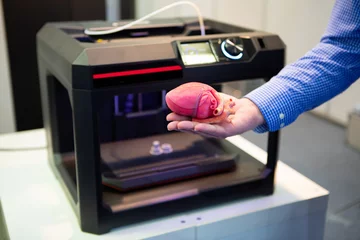 Poster de jardin 3D The cardiosurgeon demonstrates the heart printed on a 3d printer  © scharfsinn86