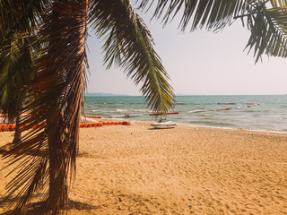 Fototapeta na wymiar Tropical island in ocean. Sand beach. Green palm