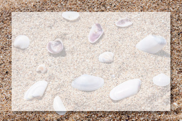 Fototapeta na wymiar Photo of a sandy beach with scattered shells with white mockup