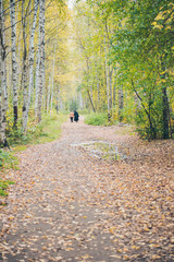 Elderly couple walking in the autumn park. 