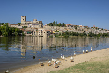 vista de Zamora desde la orilla del río Duero 
