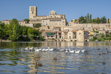 vista de Zamora desde la orilla del río Duero 