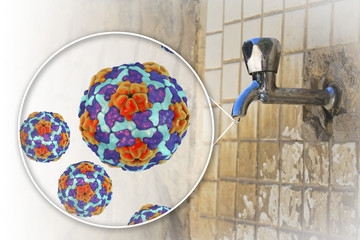 Safety of drinking water concept, 3D illustration showing Hepatitis A viruses contaminating drinking water