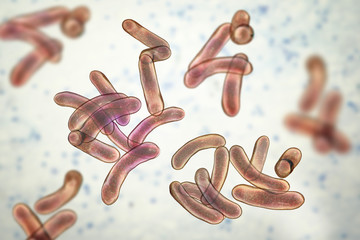 Vibrio cholerae bacteria, 3D illustration. Bacterium which causes cholera disease and is transmitted by contaminated water - obrazy, fototapety, plakaty