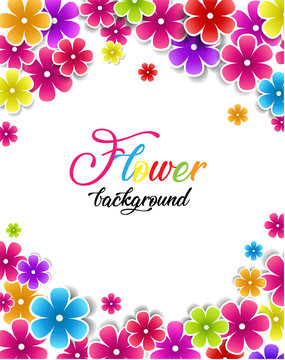 Vector illustration of flowers on a white background. Colorful floral background
