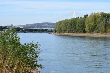 Rhein bei Mühleim-Kärlich