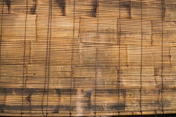 bamboo wood background