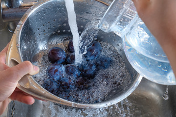 Obst gründlich waschen mit Sieb und Kanne
