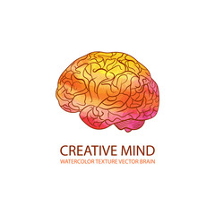 Vector Creative Mind Illustration, Watercolor Gradient Colorful Brain, Logo Template.
