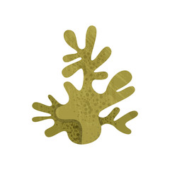 Green coral from tropical reefs. Invertebrate animal. Marine fauna. Sea and ocean life. Flat vector with texture