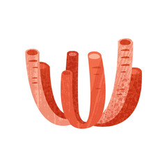 Bright red tube coral. Marine invertebrate animal. Sea and ocean life theme. Flat vector icon with texture