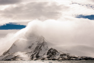 Beautiful shots of cute penguins in the Antarctica snow