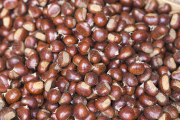 castagne