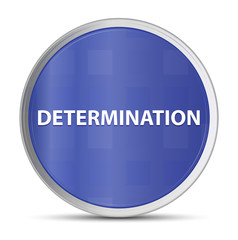 Determination blue round button