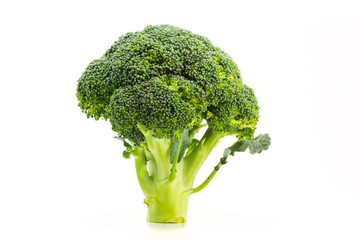 Fresh single ripe broccoli isolated on white background