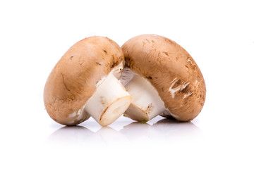 A pair of mushrooms isolated on  a white background