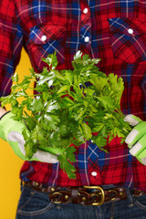Closeup on young woman farmer showing fresh parsley
