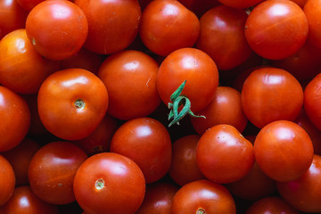 Fresh cherry tomatoes on a close-up table, organic healthy vegetables