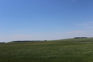 Алтайский край