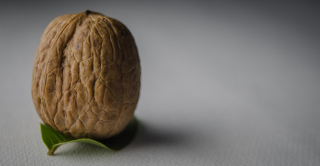 Walnut on Green Leave with White Background