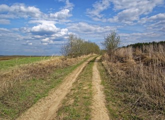 Fototapeta na wymiar dirt road through fields in spring