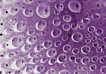 Water droplets in inversion purple 