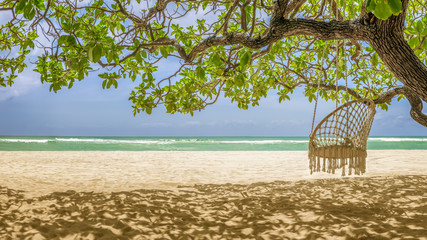 Panoramic sea view with a braided rope swing on a tree on a tropical white sand beach, Indonesia, Bali.