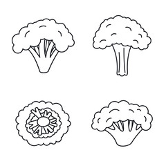 Broccoli plant icon set. Outline set of broccoli plant vector icons for web design isolated on white background