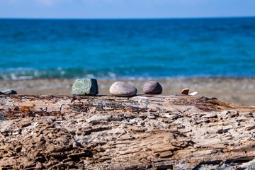 Strand von Bibbona