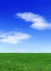 Fototapeta na wymiar Idyllic view, green field and blue sky with white clouds