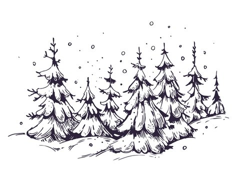 Winter background with snow and fir-trees. Hand drawn illustration converted to vector.