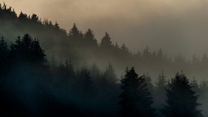 Nebel über dem Schwarzwald