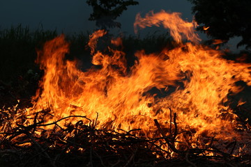 L'ardere della legna