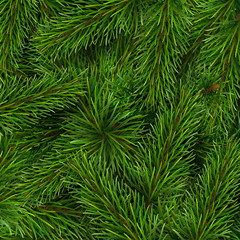 Naklejka premium Christmas tree branches background. A template for a Christmas card or invitation to event.