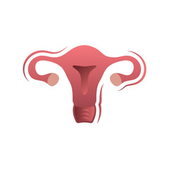 Uterus icon. Female reproductory system. Human internal organs. Gynecology logo. Medical vector illustration.