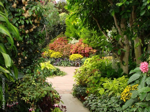 Fall Color Flowers And Plants On Garden Walking Path Stock
