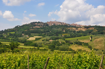Fototapeta na wymiar Italy - Small town on top of a hill during a beautiful sunny day over a big healthy vineyard.