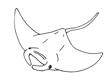 Mantarochen Kontur