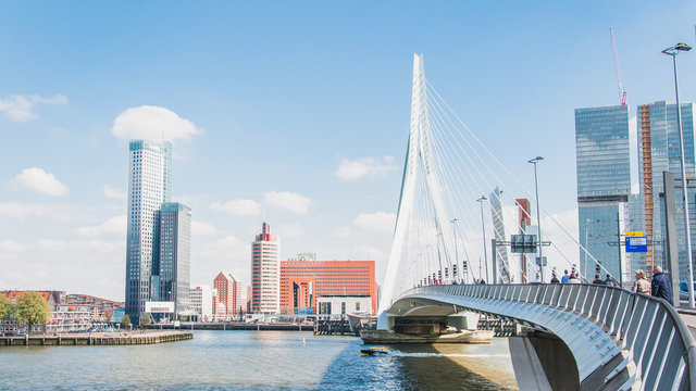 Fototapeta The Erasmus bridge, cable-stayed bridge in the center of Rotterdam