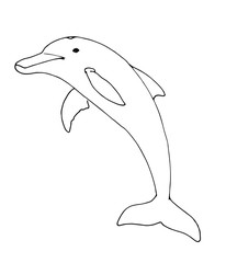 Delfin Kontur