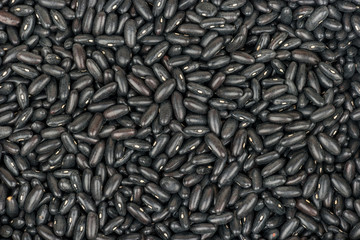 Raw black beans
