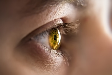 honey colored eye iris - obrazy, fototapety, plakaty