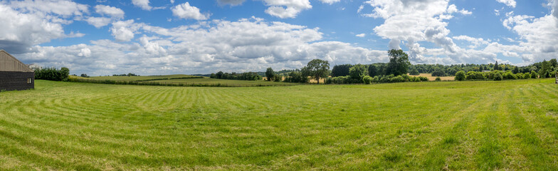 Fototapeta na wymiar Field panorama