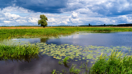  Lato w Dolinie Narwi - Podlasie - Polska © podlaski49