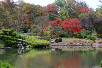 Obraz premium Autumn in Japanese Garden