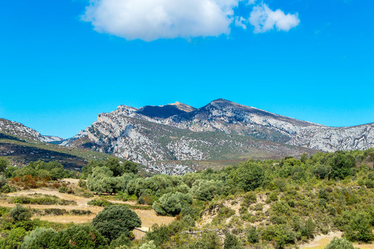rodellar